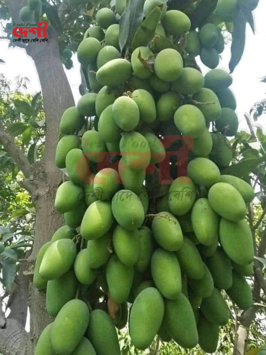 কাঁচা বা আচারের আম